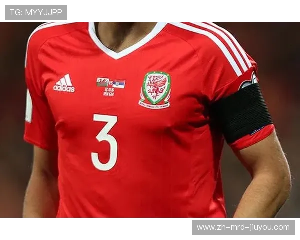 英超球队胸前小红花意义探究